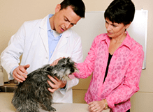 Centro Veterinario Haizea consulta veterinaria